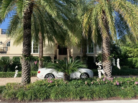 Photo of アクエリオン スロット TurfTim Landscape and Design - Miami, FL, US.